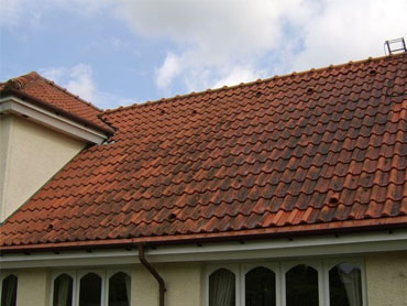 Artisan David F nettoie votre toit